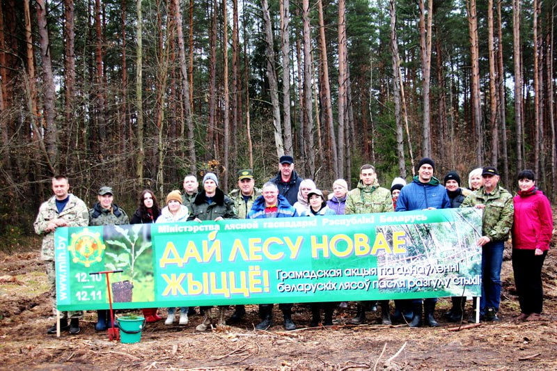 85-летие Новогрудского лесхоза отметили посадкой юбилейных культур