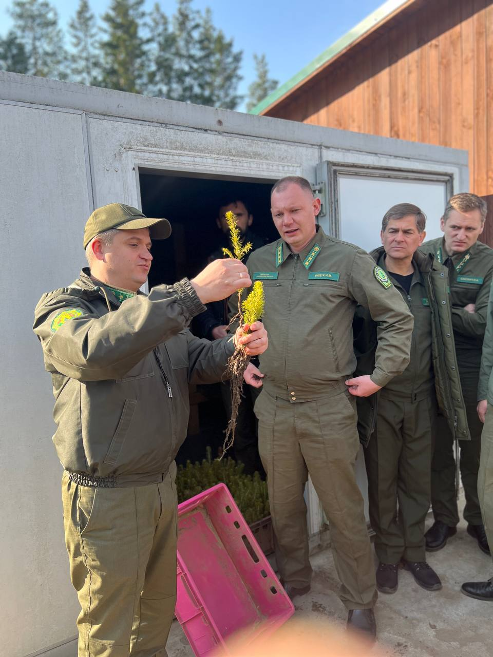 Сегодня на базе  Слонимского лесхоза проходит областной семинар, посвященный  питомническому хозяйству, лесовосстановительным работам и  технологиям заготовки фанерного сырья 