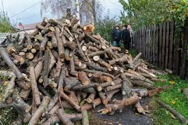 Совмин определил юрлиц, которые могут покупать дрова вне биржевых торгов