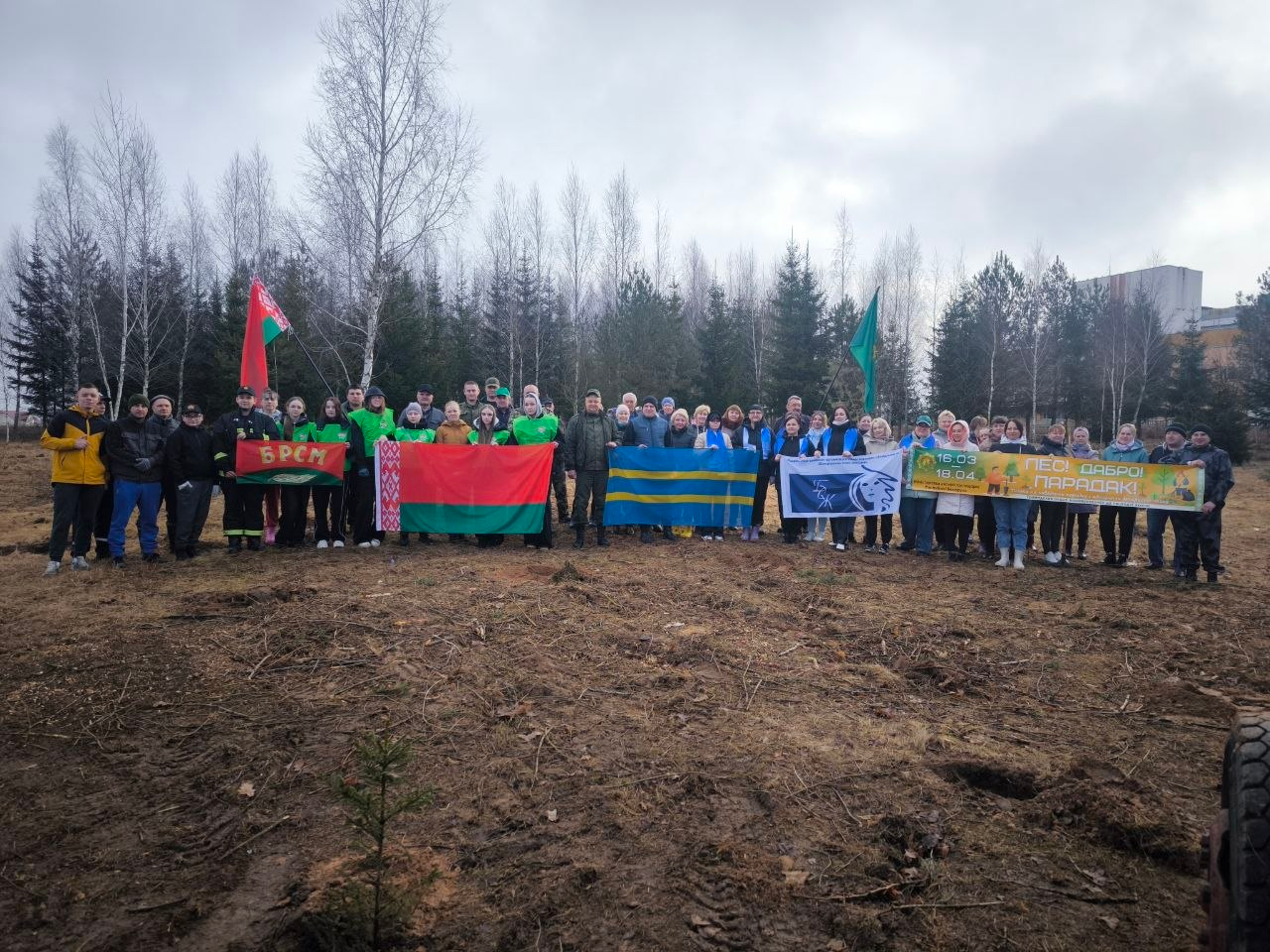 ЛЕС ДАБРО ПАРАДАК