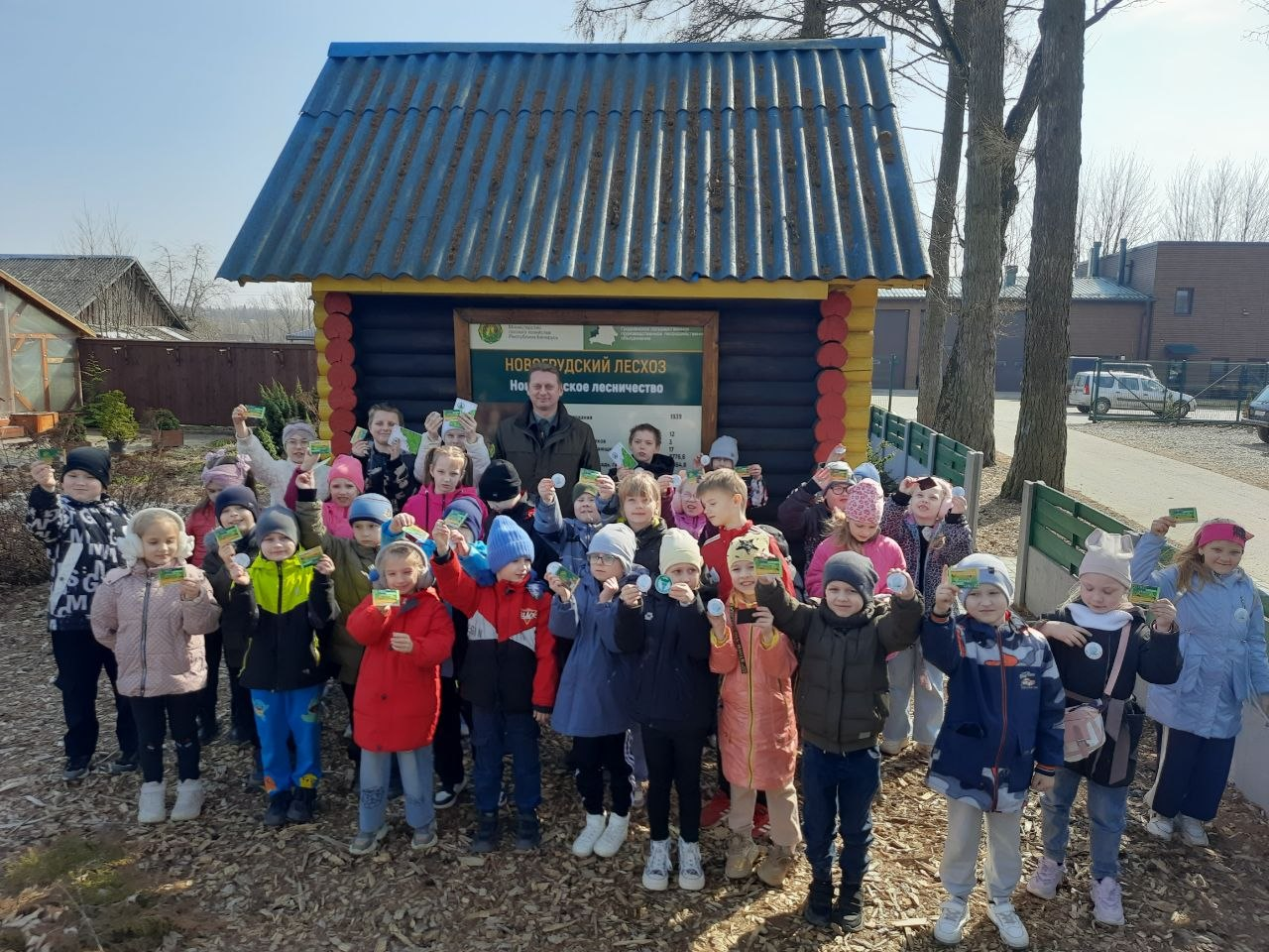 От саженца до дома: путешествие в мир леса