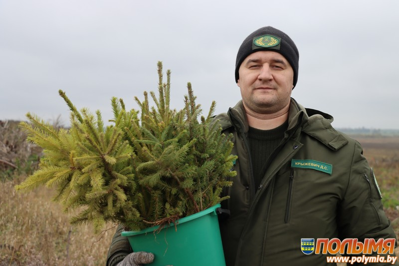 Кореличчане присоединились к республиканской добровольной акции «Дай лесу новае жыццё!»