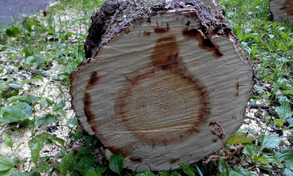 Порядок реализации дров населению