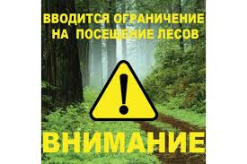 Ограничение посещения лесов с 