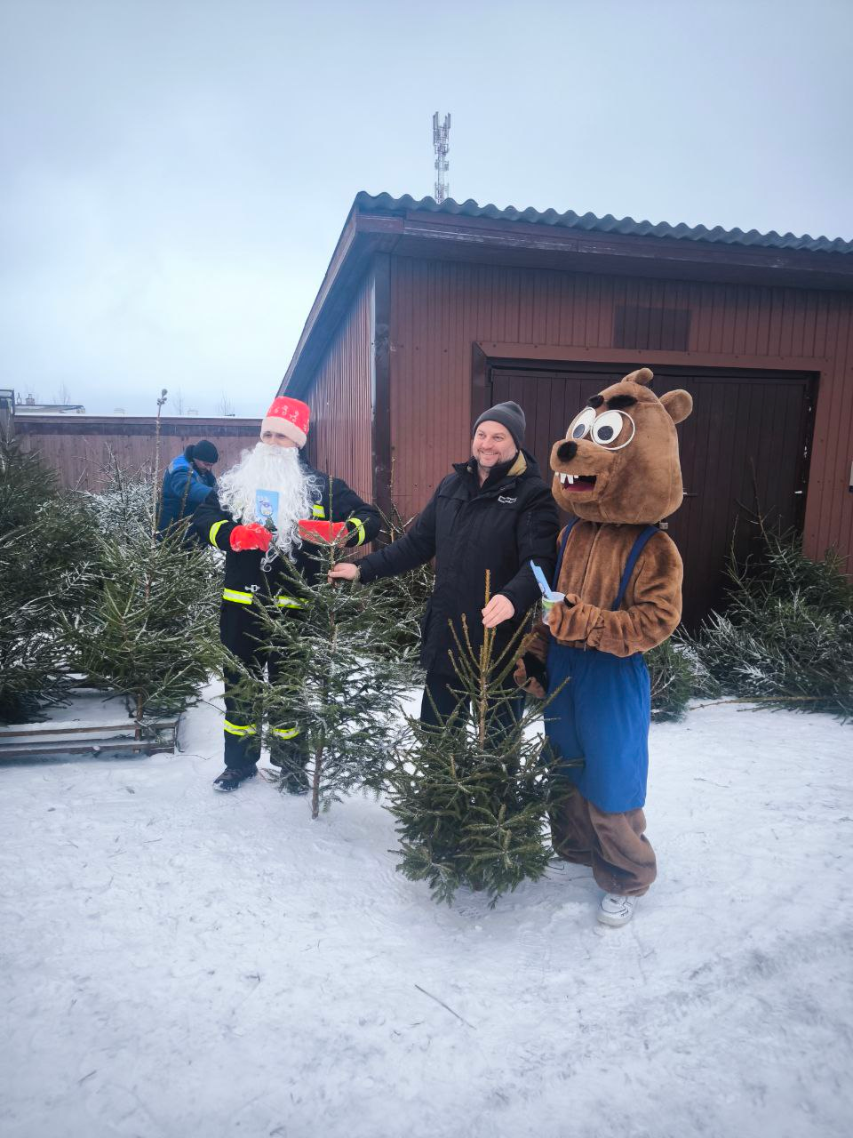 Безопасный Новый год