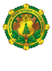 Разъяснение гражданам Новогрудка и Новогрудского района по поводу ограничений и запретов на посещения лесов в пожароопасный период.