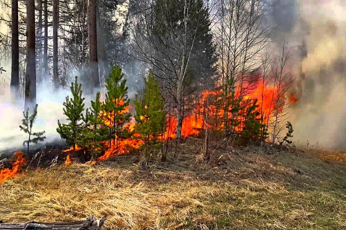 Лесная охраны Новогрудского лесхоза предупреждают о начале пожароопасного сезона в лесах Республики Беларусь